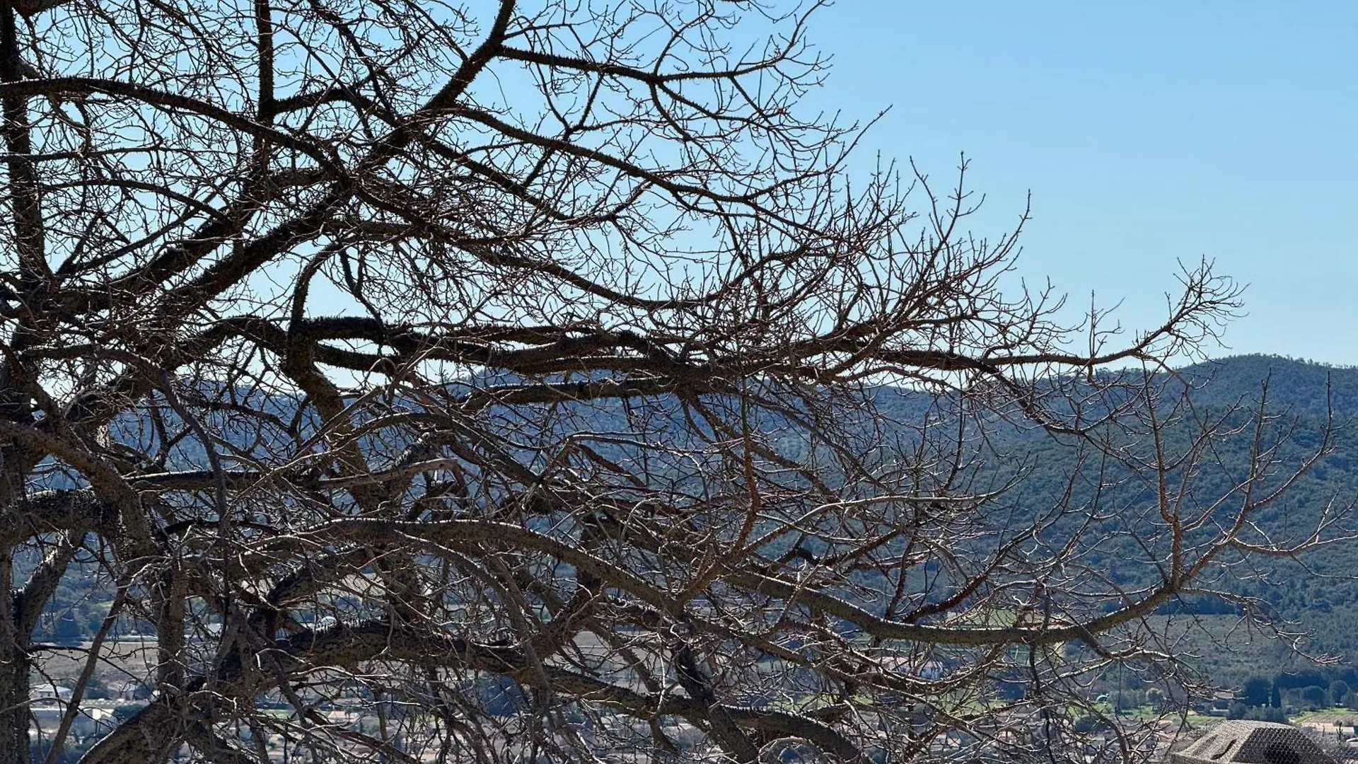 Studio Le Nid, Vue Mer, Village Et Collines Avec Terrasse Bormes-les-Mimosas